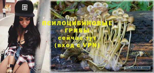 твердый Балабаново